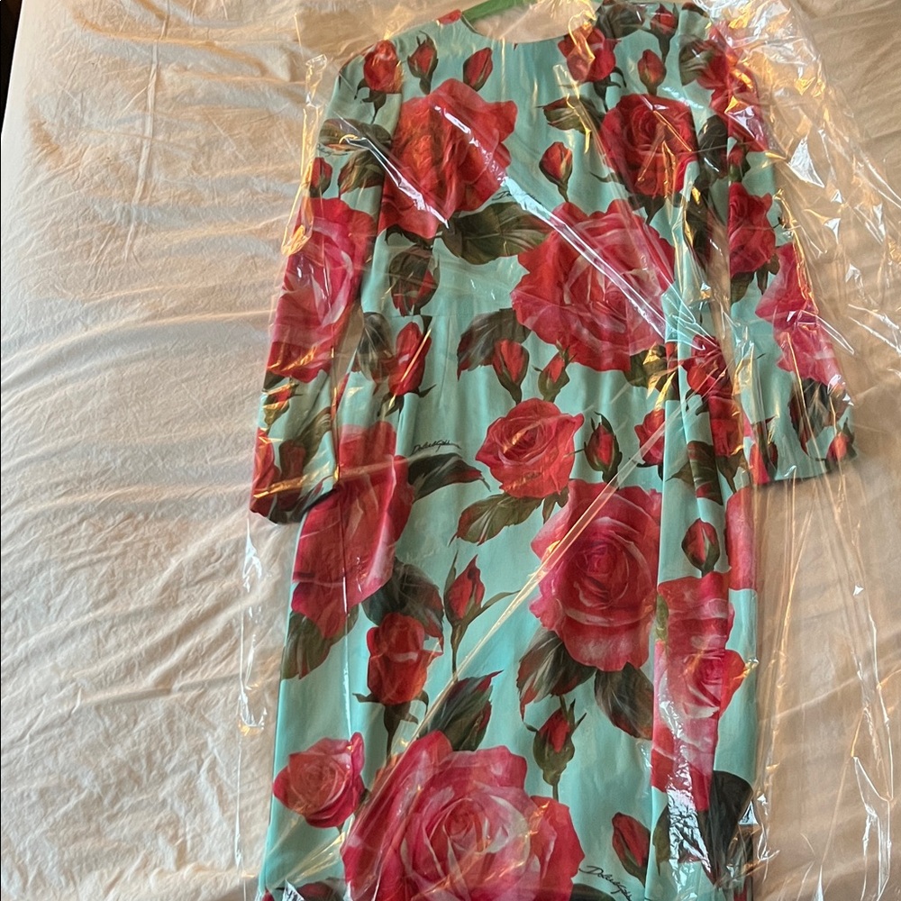 Dolce & Gabbana Silk Teal Dress with Red Floral/Rose Design
